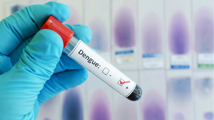 Why to buy a dengue insurance cover?