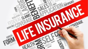 Term life plan or money back plan which one to buy?