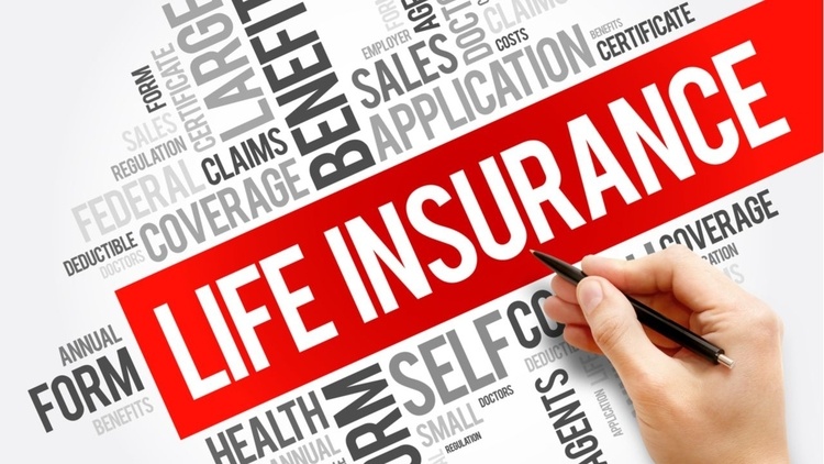 Term life plan or money back plan which one to buy? Term life plan or money back plan which one to buy?